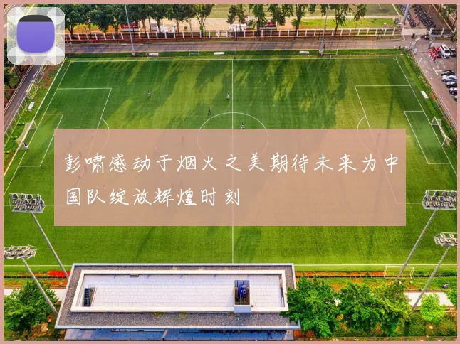 彭啸感动于烟火之美期待未来为中国队绽放辉煌时刻